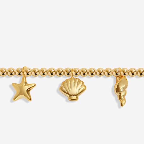Ankelkjede SHELL CHARMS Joma Jewellery 